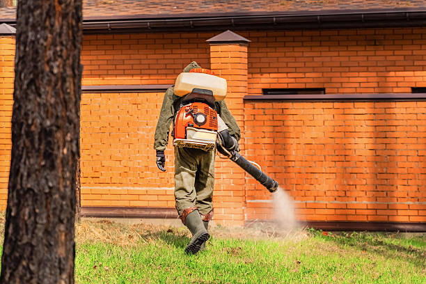 Trusted Bed Bug Control service in Cherry Grove, OH - Nex Pest Control